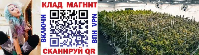 Где найти наркотики Красавино СК Амфетамин ГАШИШ Канабис КОКАИН Героин Меф