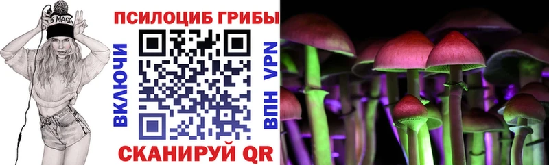 Галлюциногенные грибы Psilocybine cubensis  Красавино 